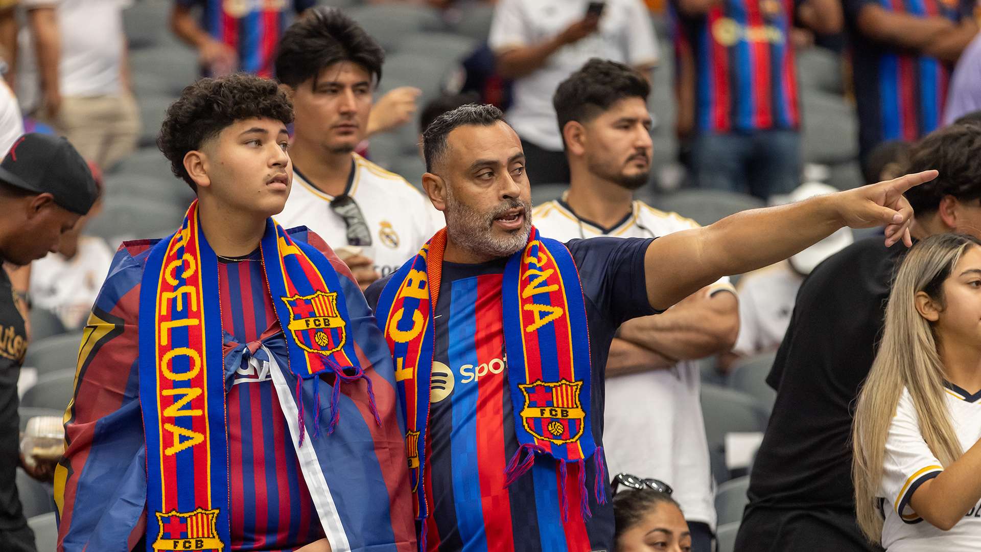 不仅是语言 不仅是语言